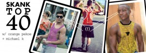 skanktop40